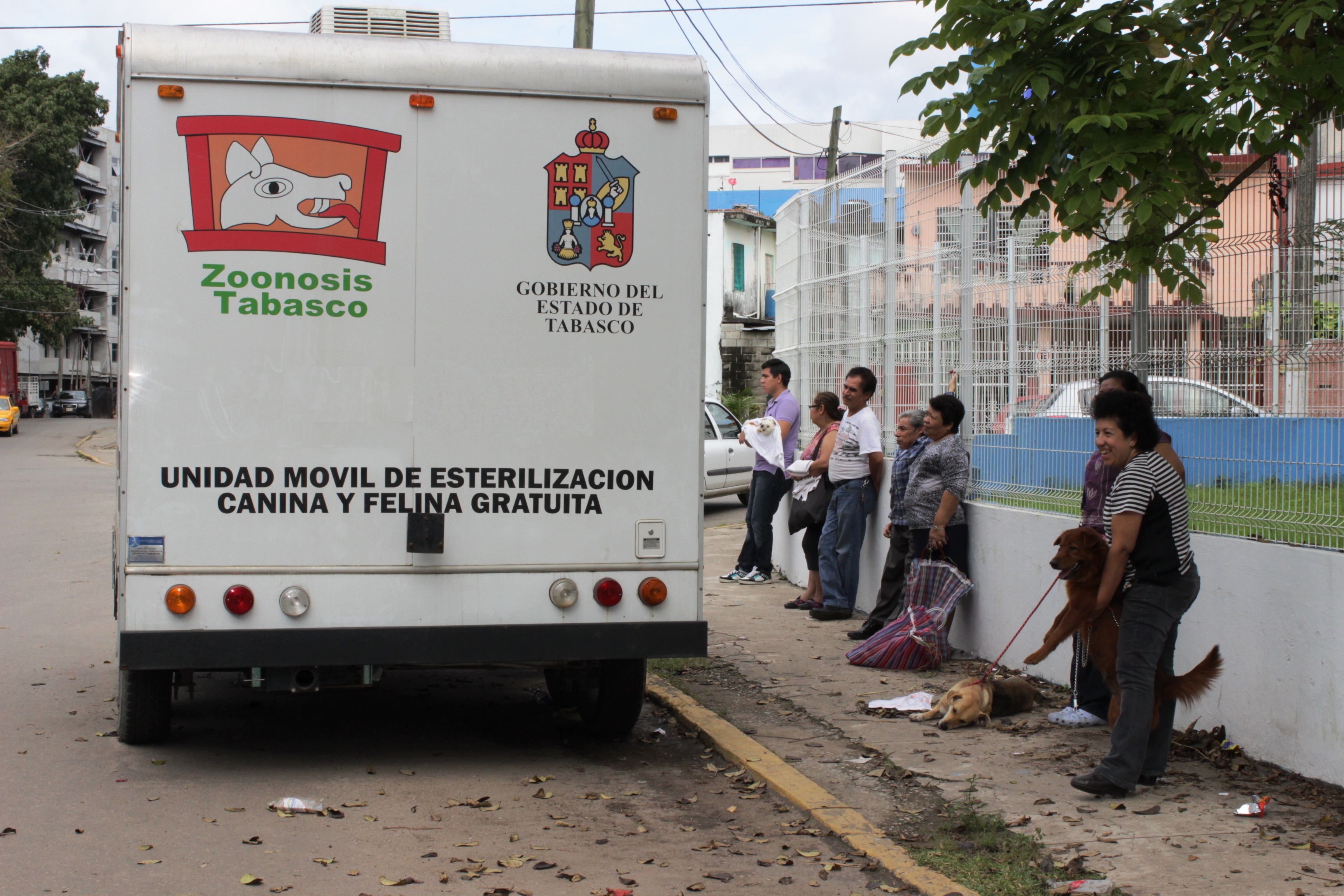 imagen del encabezado