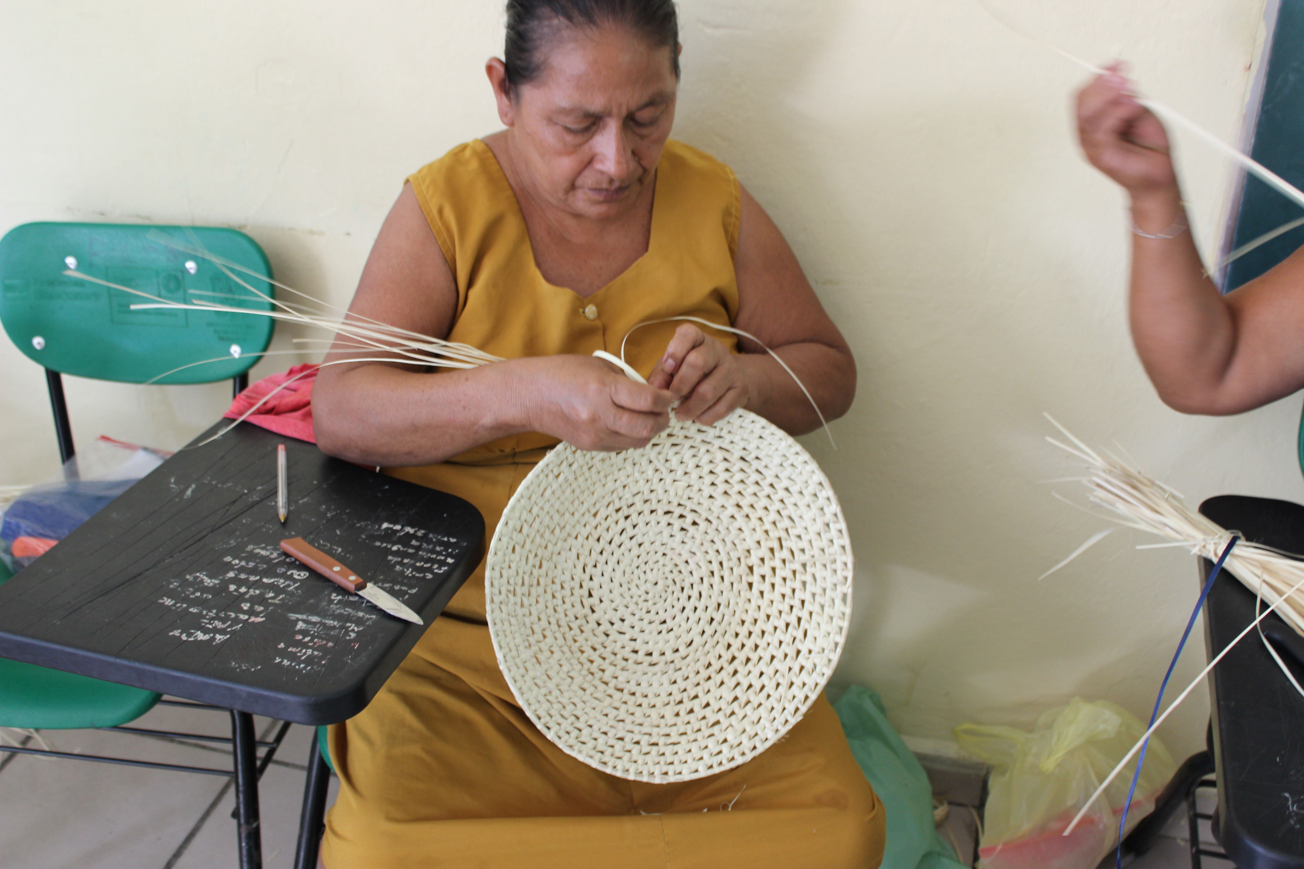 imagen del encabezado