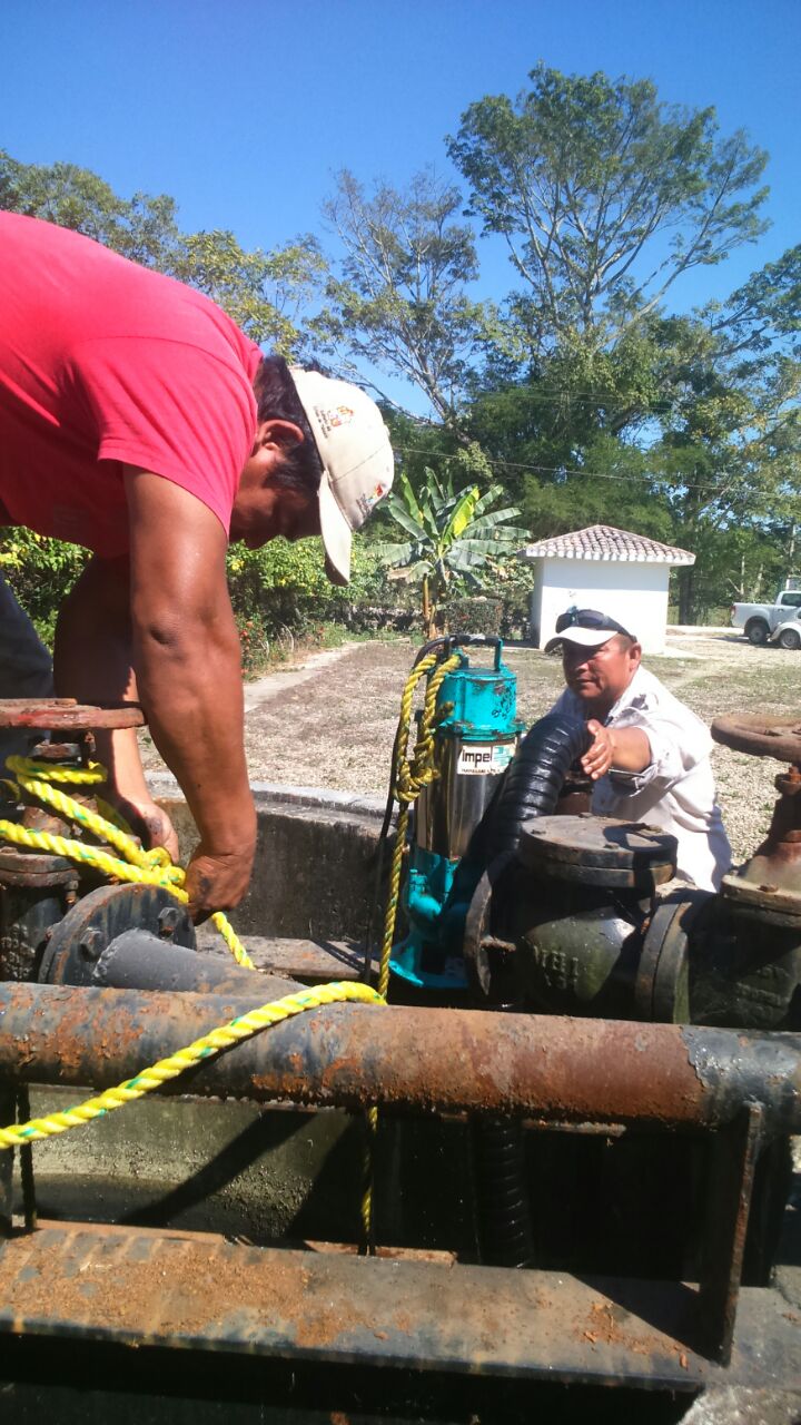 imagen del encabezado