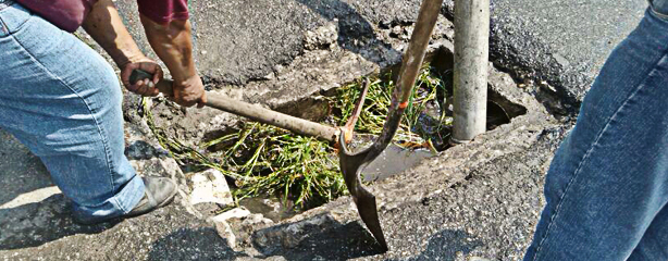 imagen del encabezado