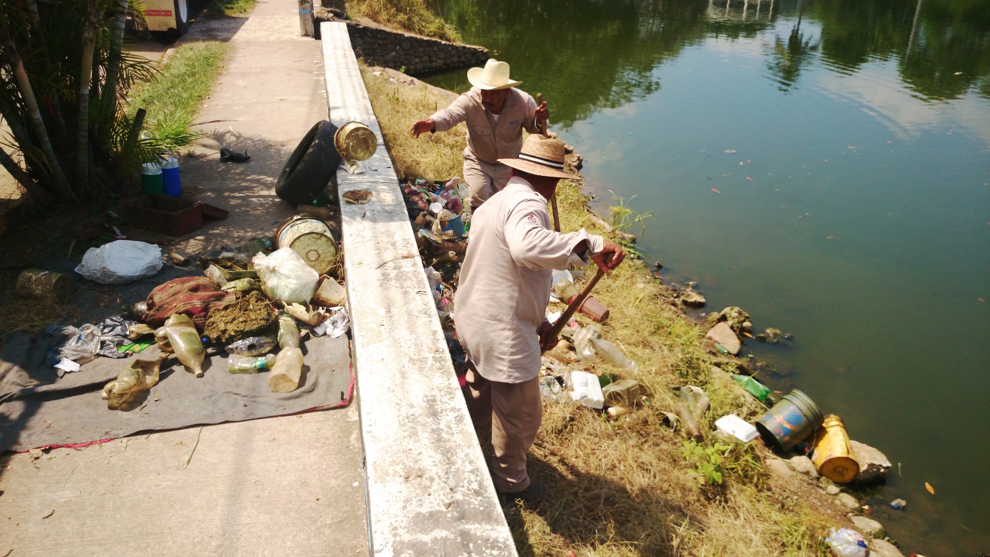 imagen del encabezado