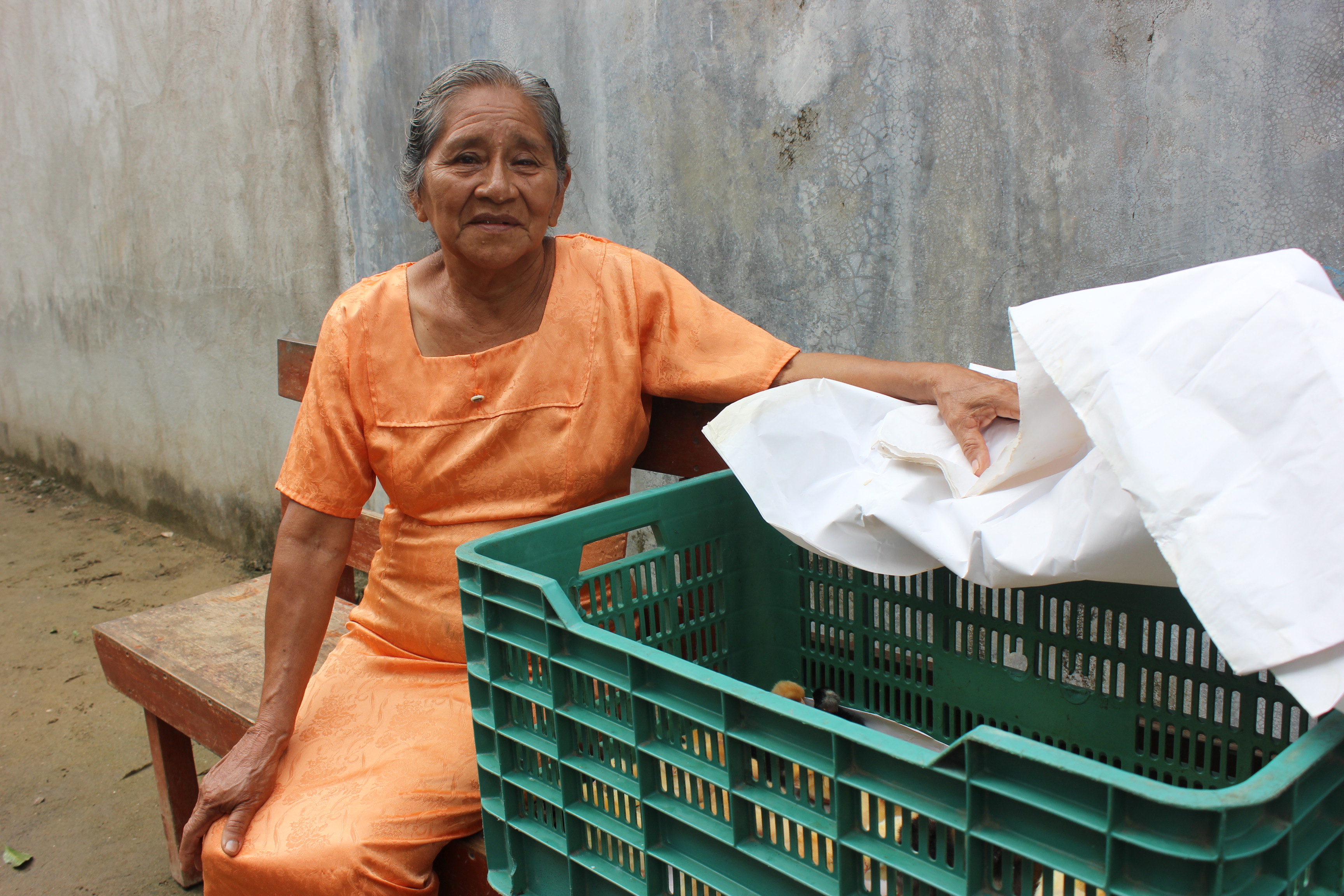 imagen del encabezado