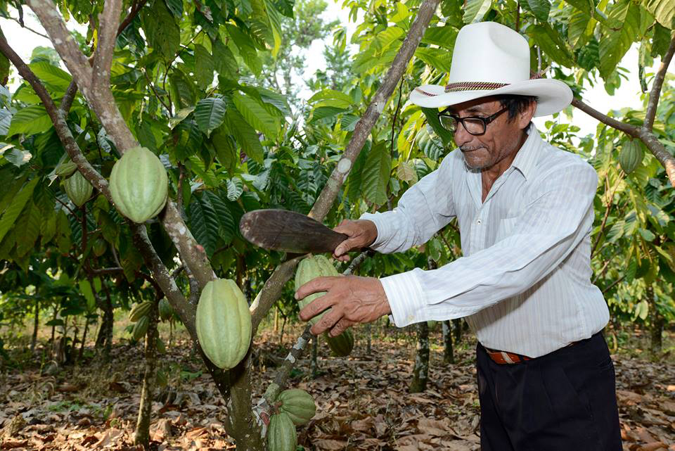 imagen del encabezado