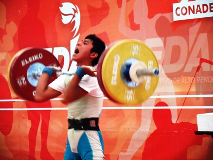 imagen del encabezado