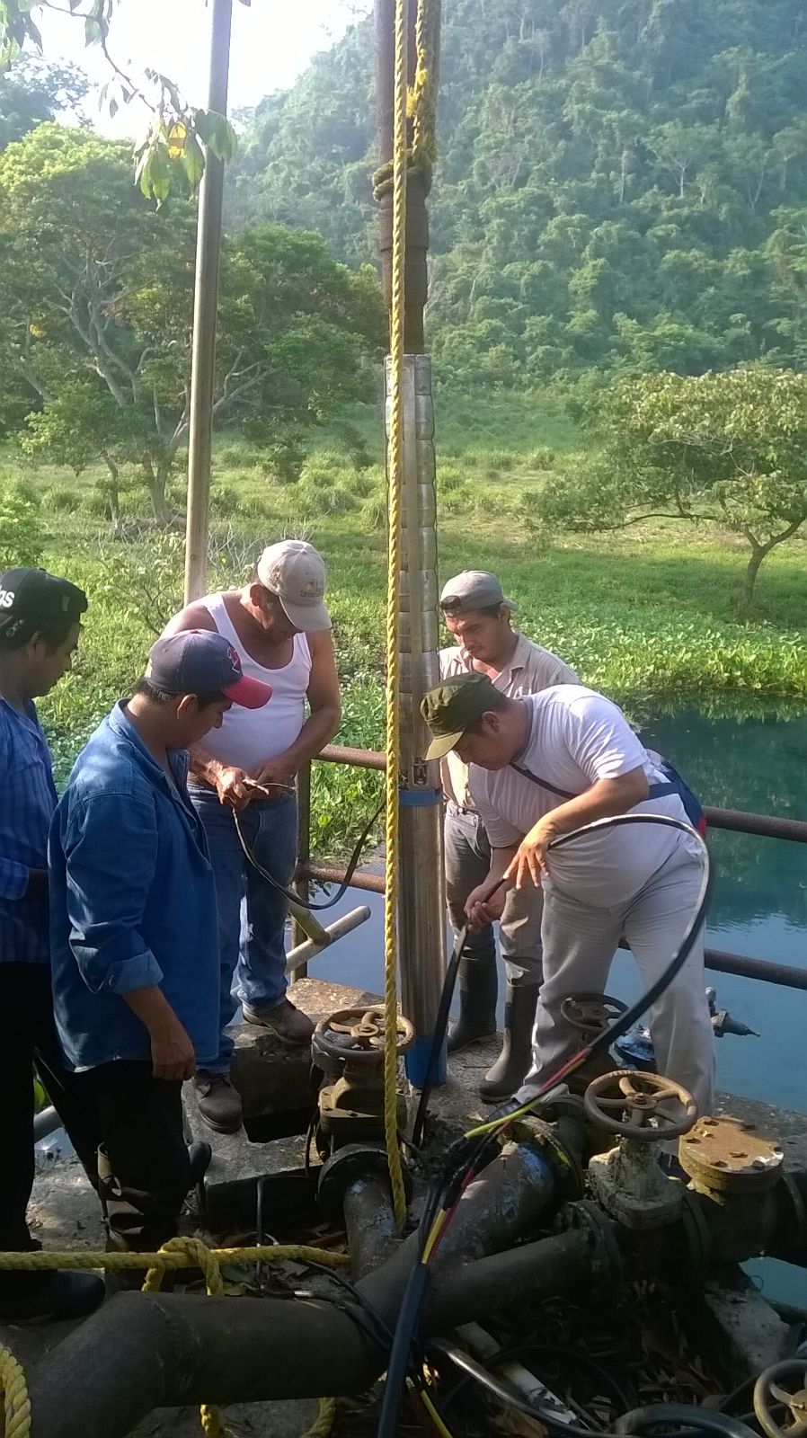 imagen del encabezado