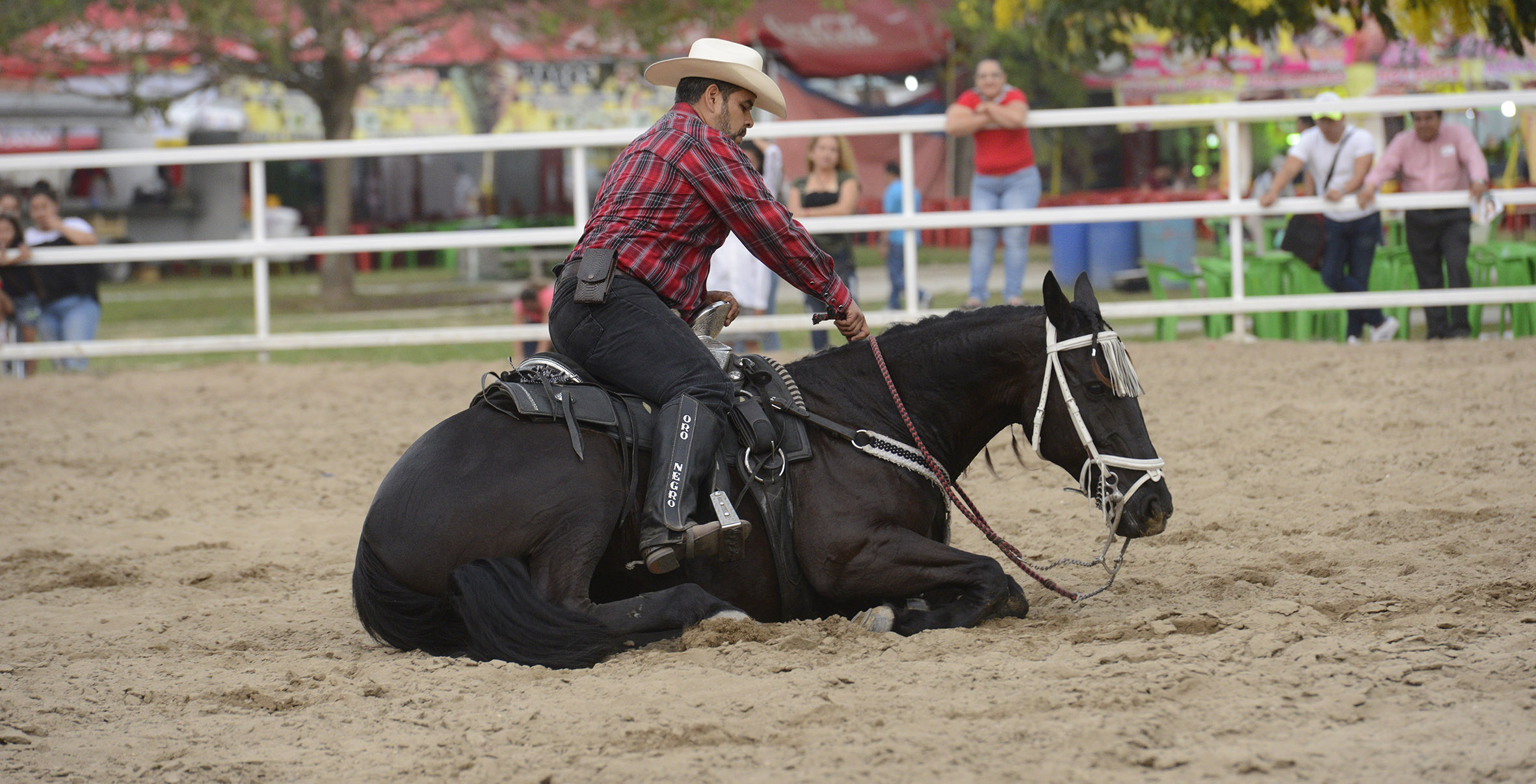imagen del encabezado