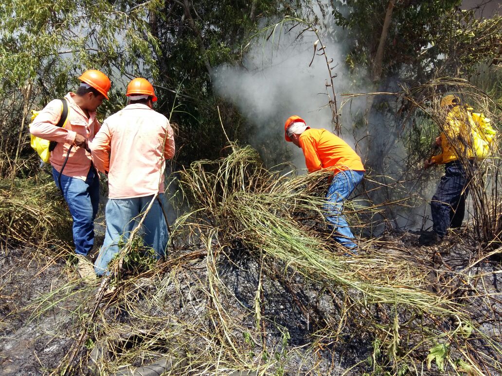 imagen del encabezado