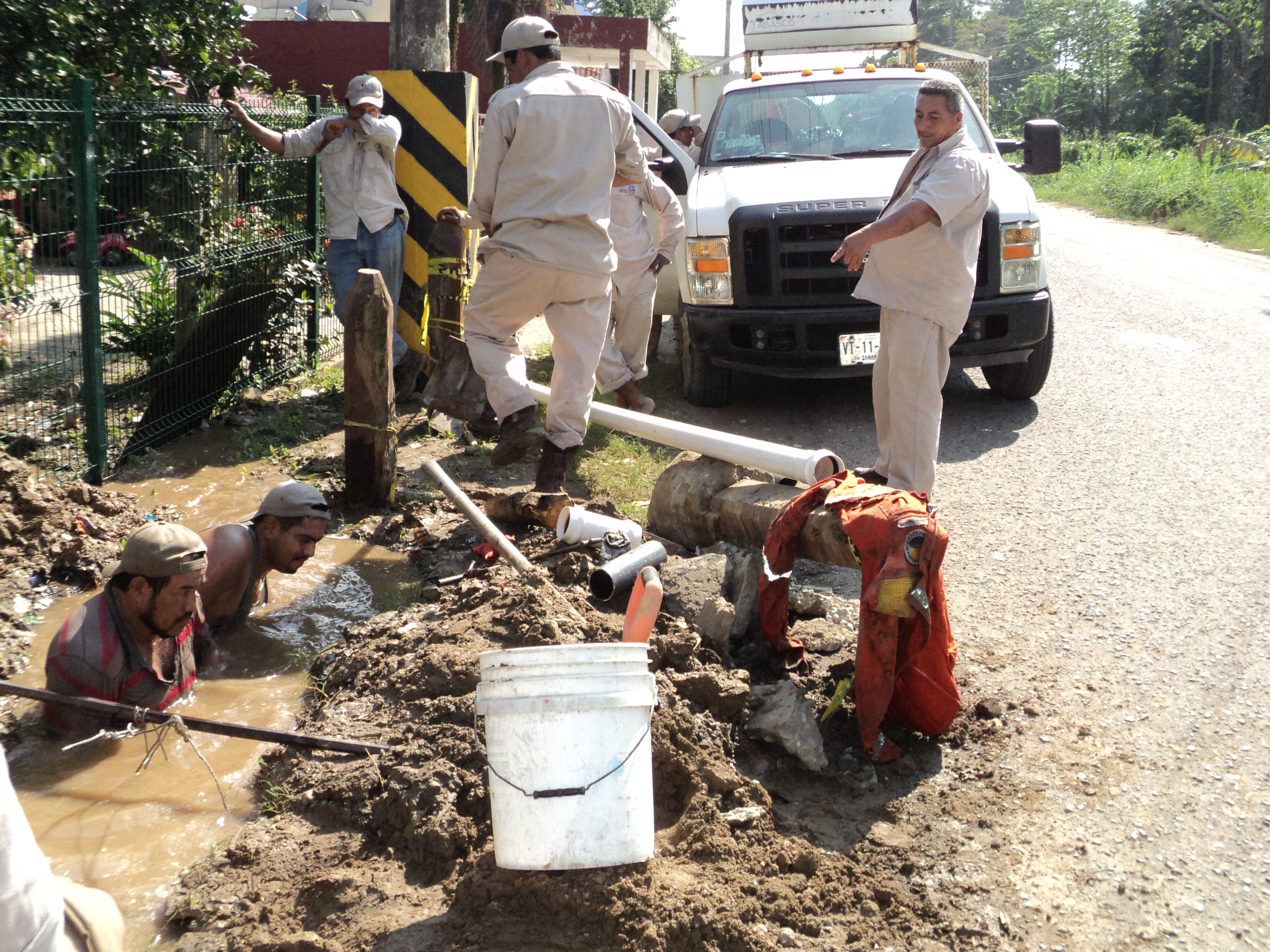 imagen del encabezado