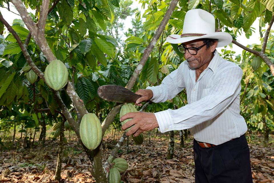 imagen del encabezado