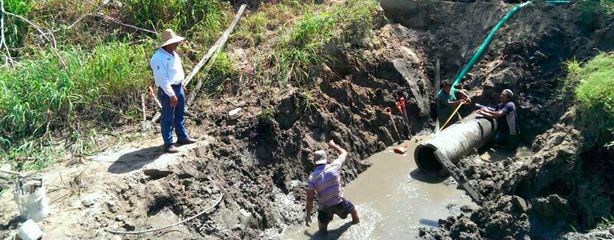 imagen del encabezado