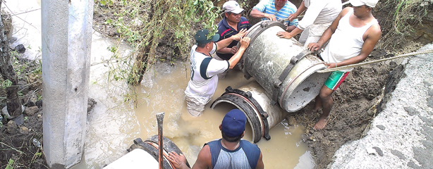 imagen del encabezado