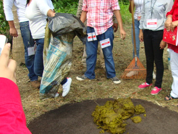 imagen del encabezado