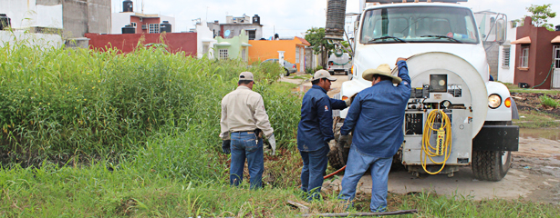 imagen del encabezado