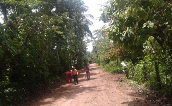 imagen del encabezado