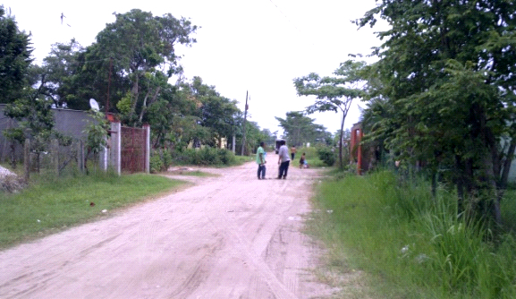 imagen del encabezado