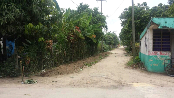 imagen del encabezado