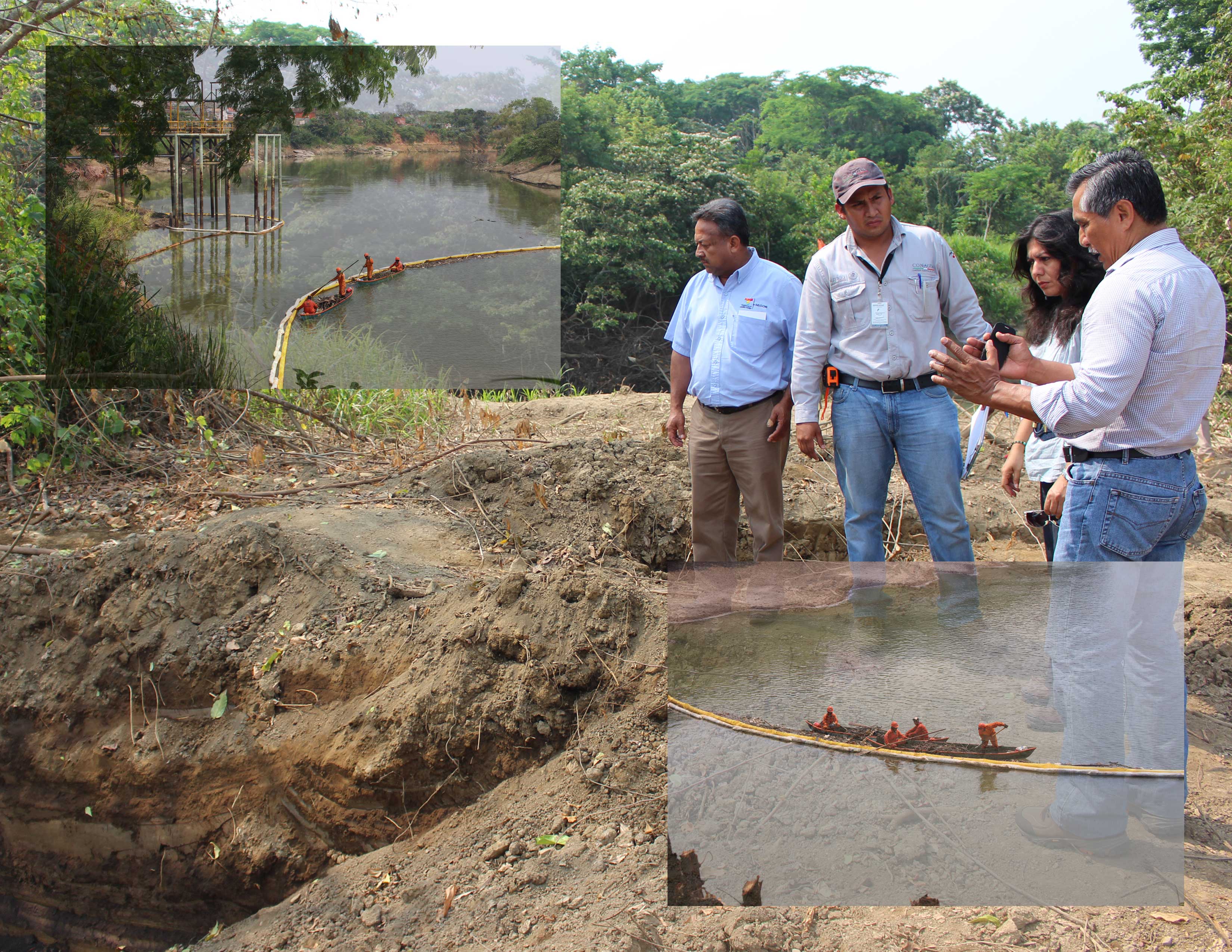 imagen del encabezado