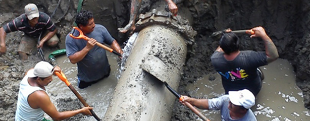 imagen del encabezado