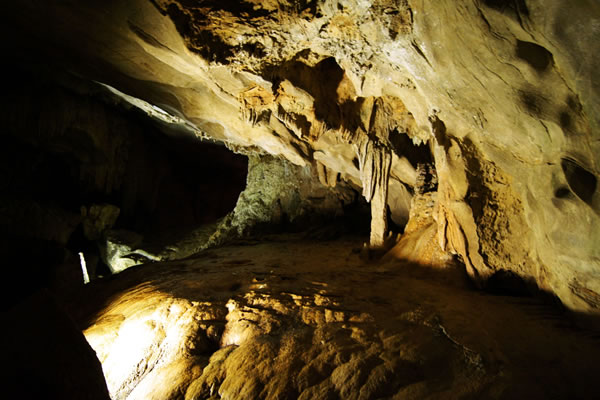 imagen del encabezado