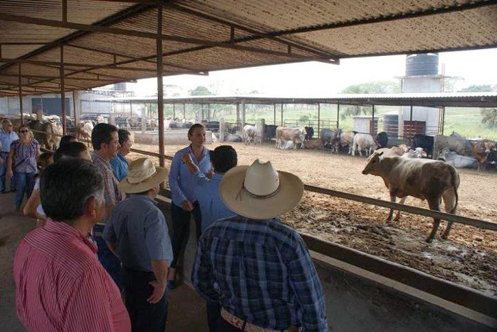 imagen del encabezado