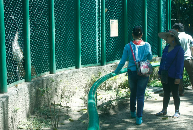 imagen del encabezado