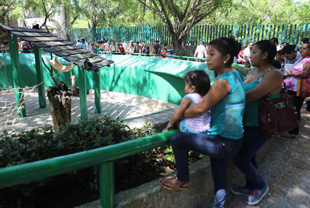 imagen del encabezado