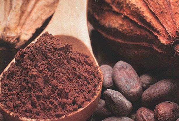 imagen del encabezado