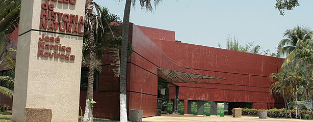 imagen del encabezado