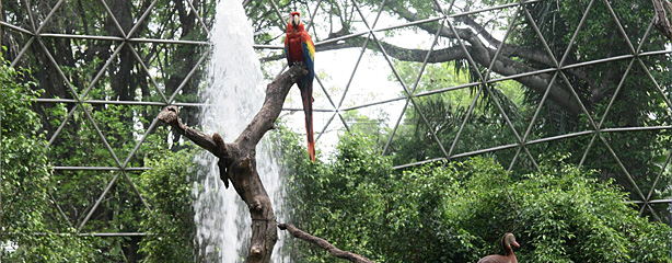 imagen del encabezado