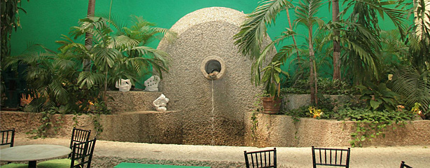 imagen del encabezado