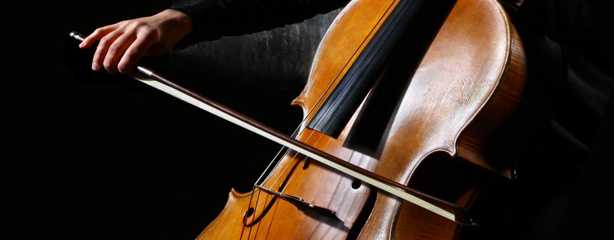 imagen del encabezado