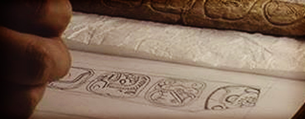 imagen del encabezado