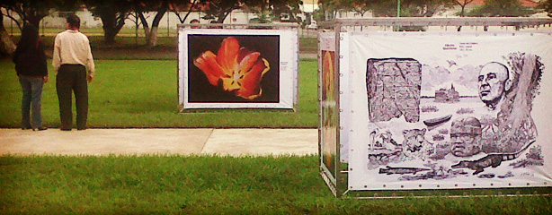 imagen del encabezado