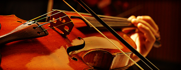 imagen del encabezado