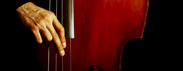 imagen del encabezado