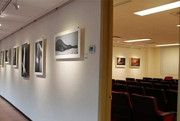 imagen del encabezado