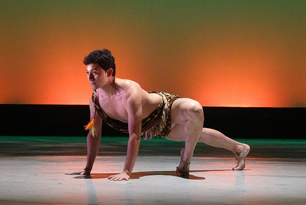 imagen del encabezado