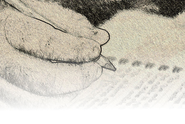 imagen del encabezado