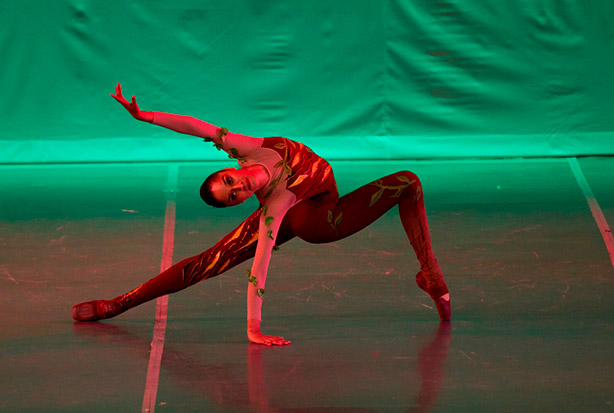 imagen del encabezado