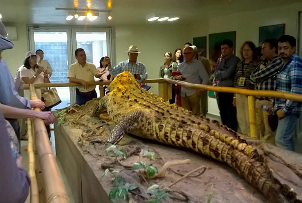 imagen del encabezado