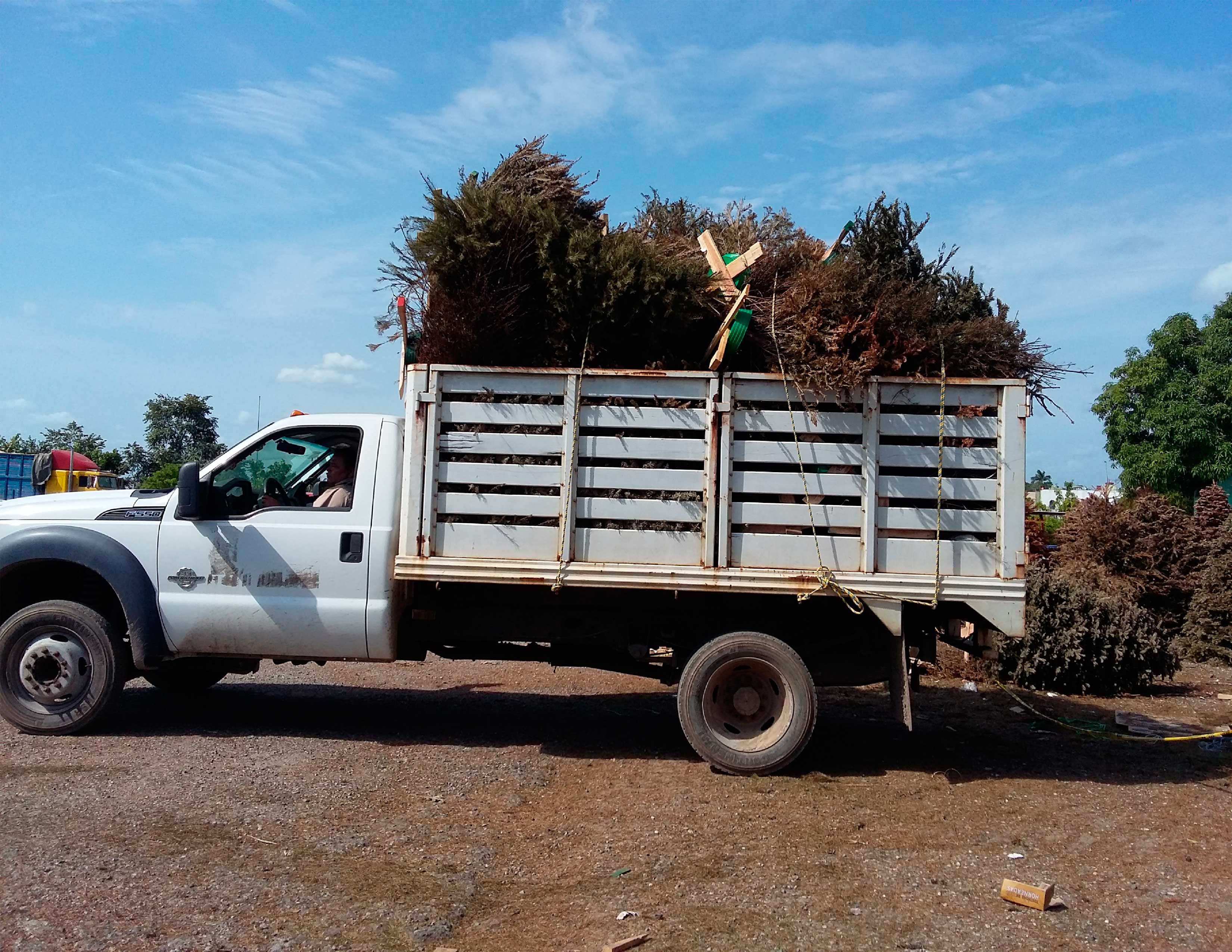 imagen del encabezado