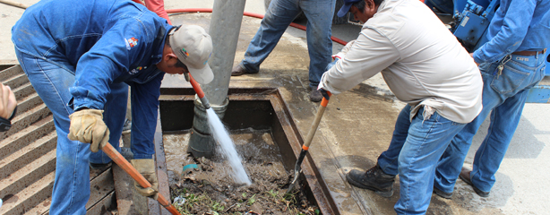 imagen del encabezado