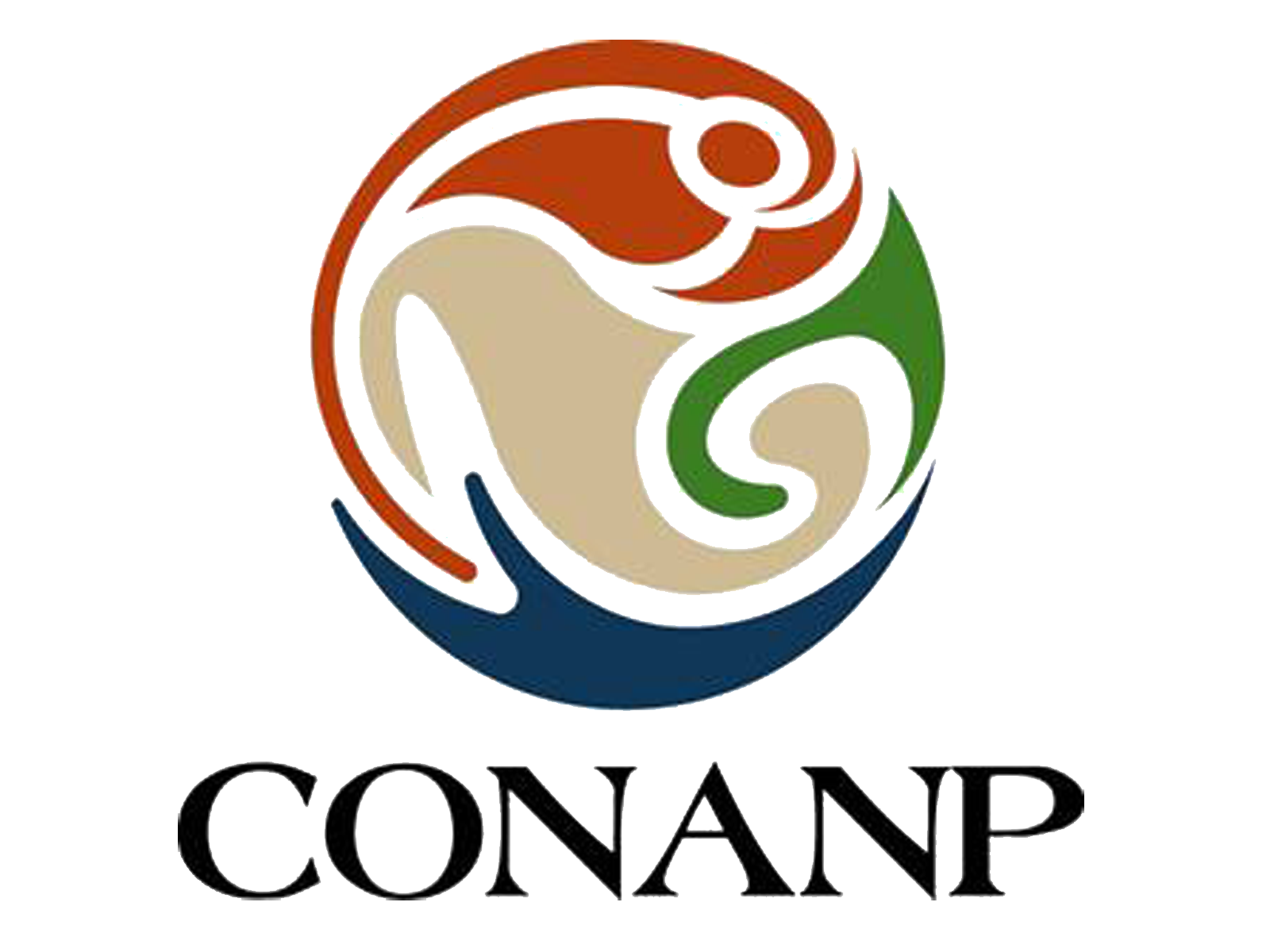 imagen del encabezado