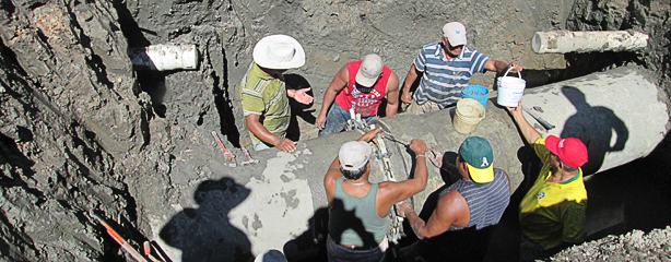 imagen del encabezado