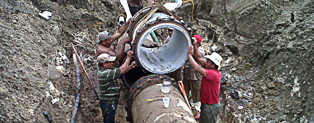 imagen del encabezado