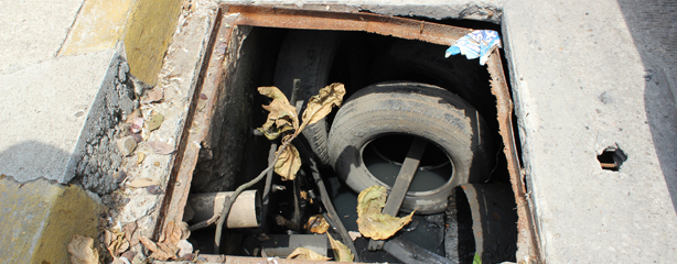 imagen del encabezado