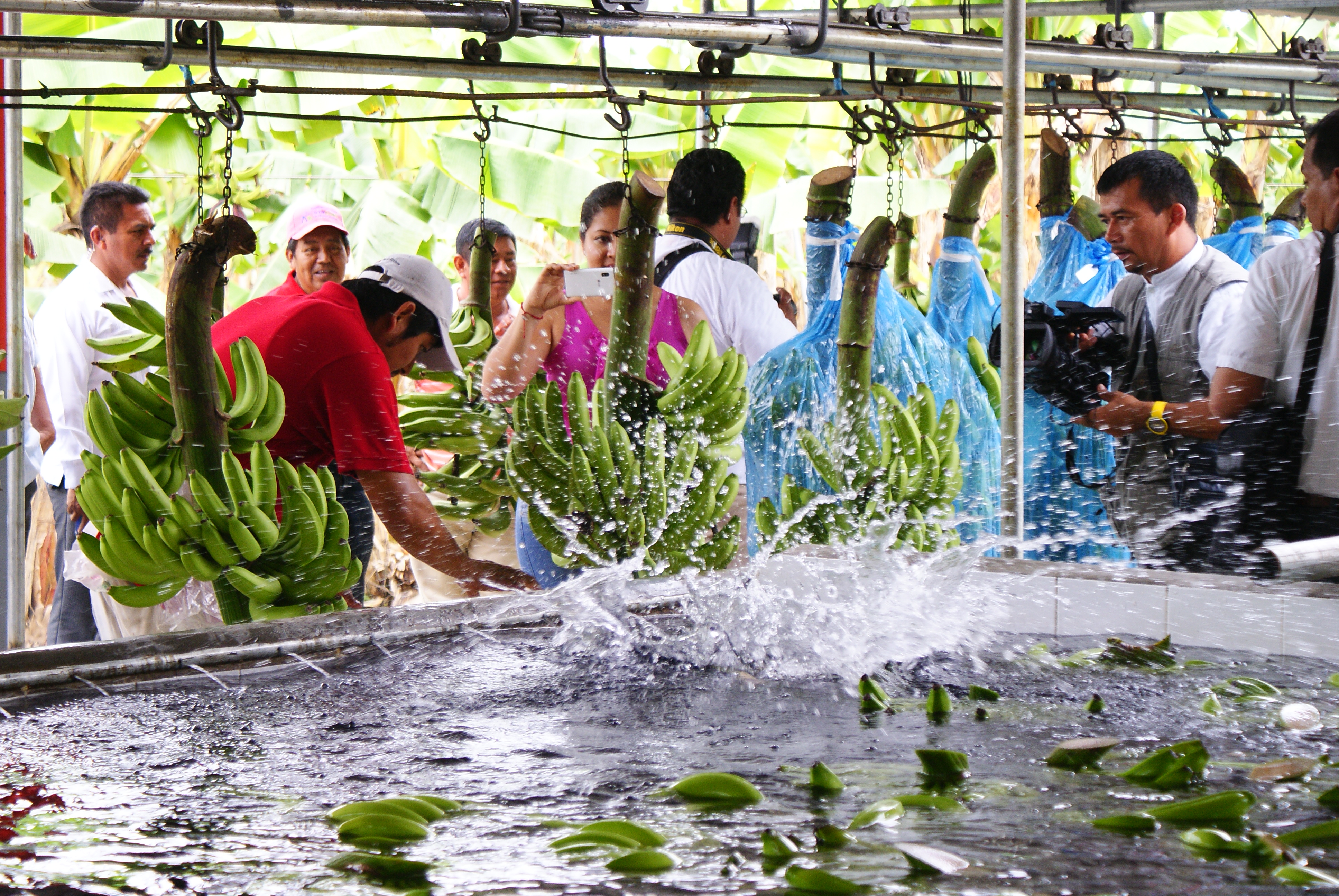 imagen del encabezado