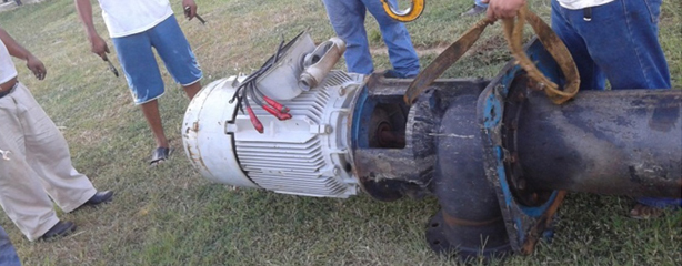 imagen del encabezado