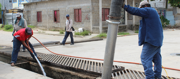 imagen del encabezado