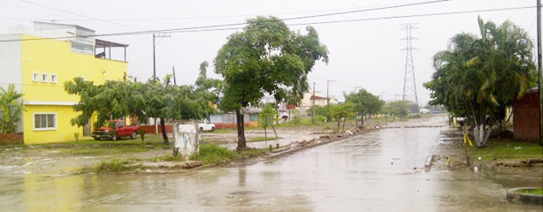 imagen del encabezado